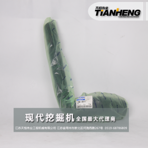 上水管 現代挖掘機配件 11N6-46111