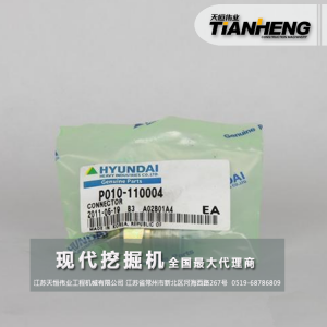 接頭/現代挖掘機配件/P010-110004