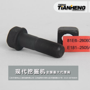 螺栓螺母/現代挖掘機配件/81E6-26060