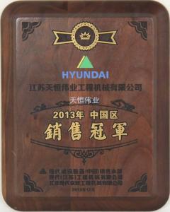中國區現代挖掘機銷售冠軍2013年