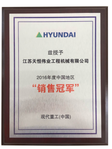 中國地區銷售冠軍2016年